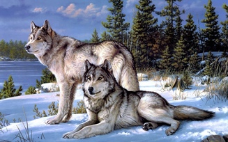 лес, Joseph hautman, волки, зима