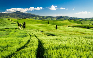 tuscany, italy, пейзаж, поле